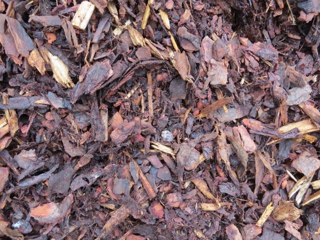 Pine Bark Chips