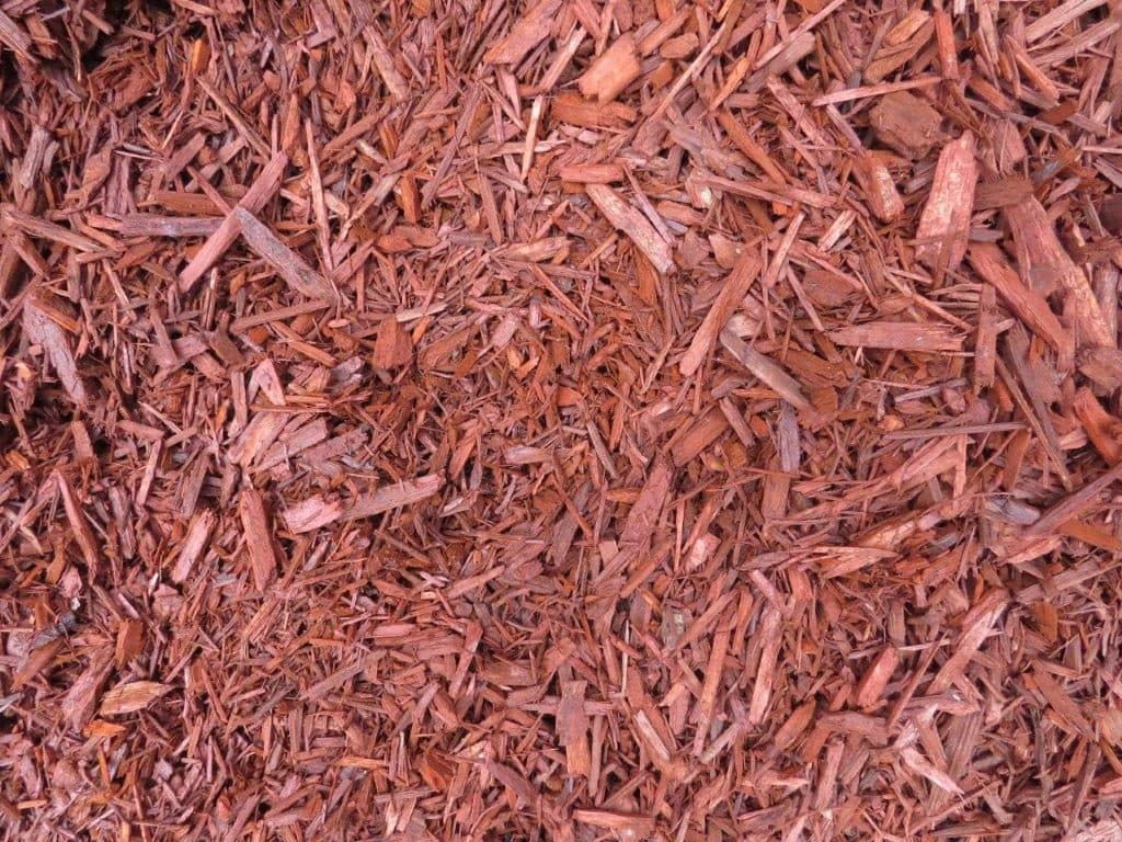 Red Dyed Mulch