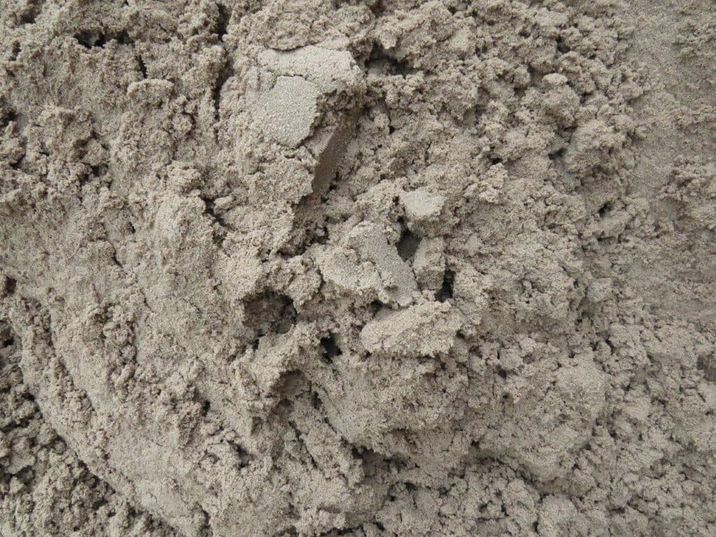 Grey Muckadilla