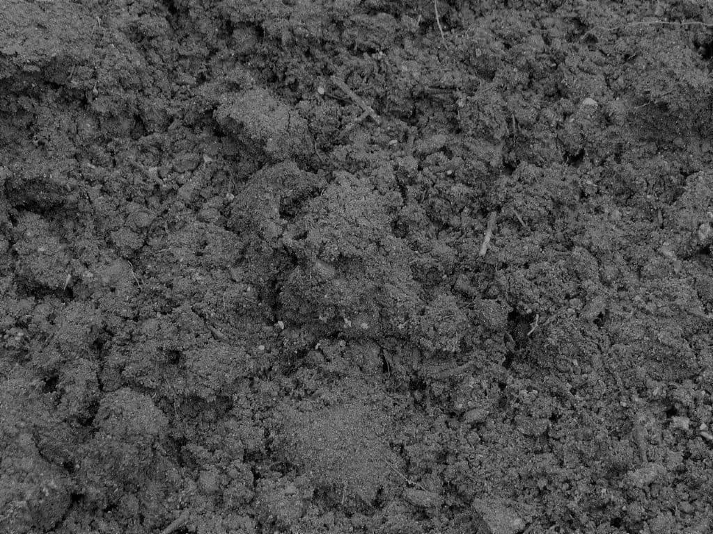 Garden Soil