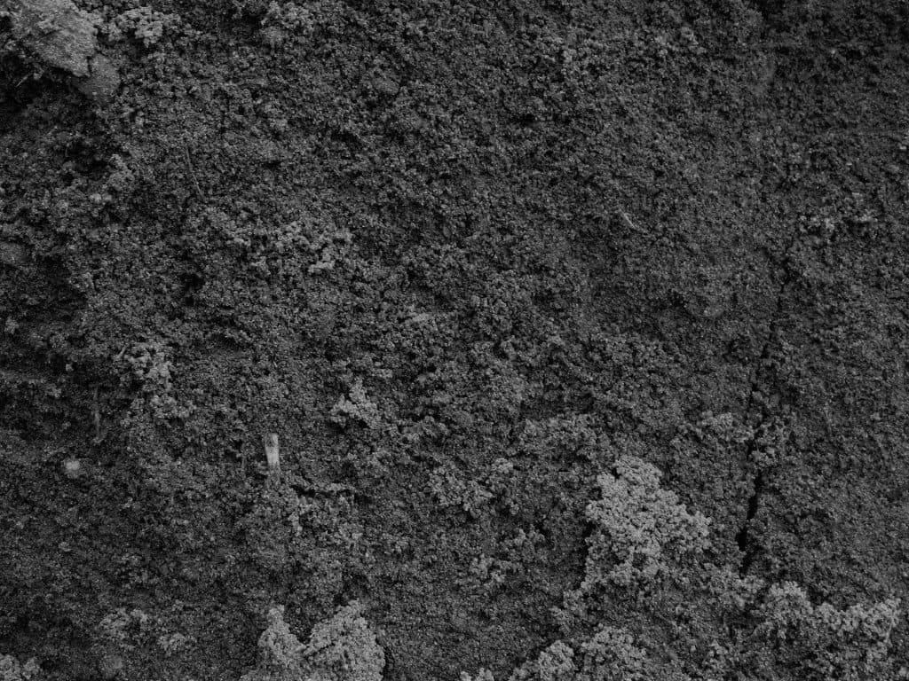 Lawn Soil
