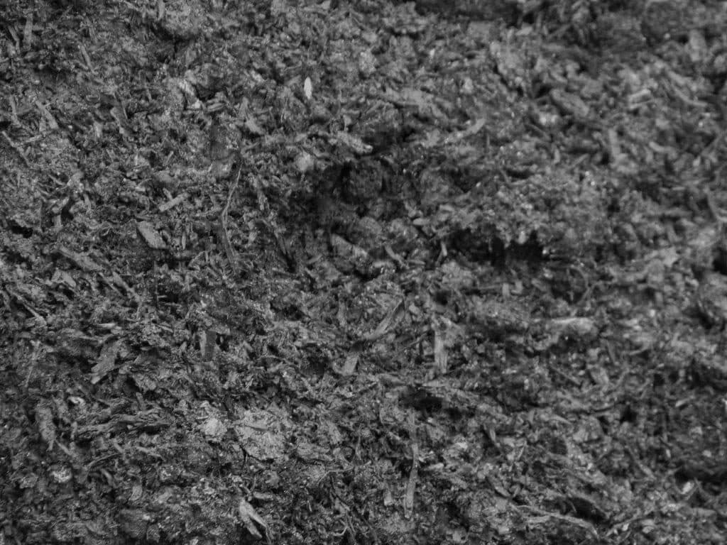 Mushroom Compost